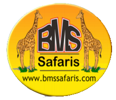 BMS SAFARIS